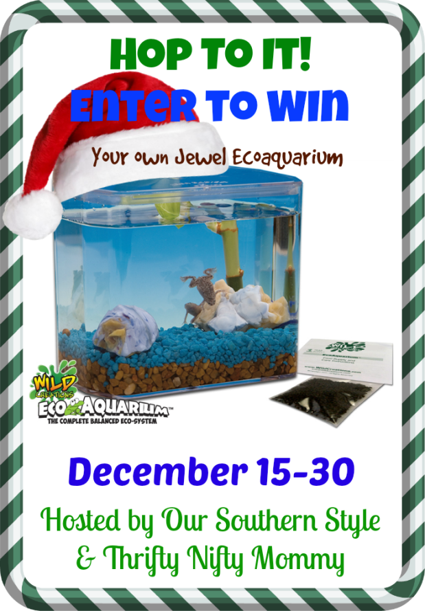 Wild Creations Jewel Ecoaquarium All-in-One Kit Giveaway!